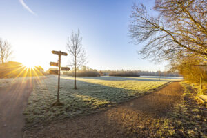 Bracknell forest